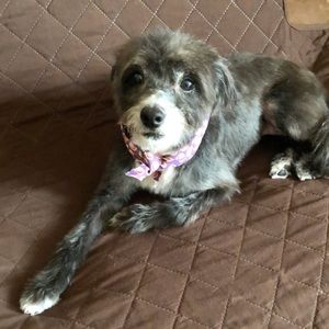 Meet your Posher, Lesley